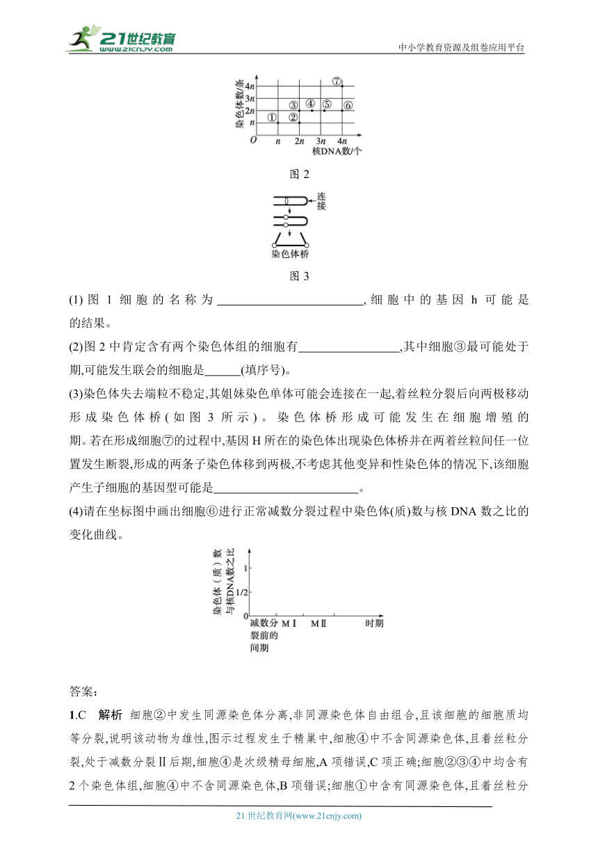 2025人教版新教材生物学高考第一轮基础练--专题练1　减数分裂与有丝分裂的比较（含解析）