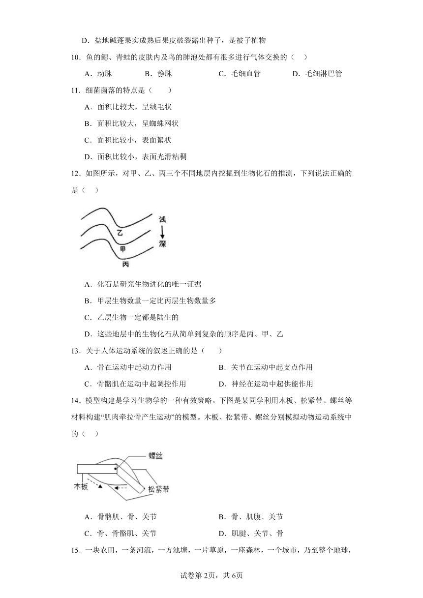 2023-2024学年初中生物苏教版八年级上册期末测试模拟卷2（答案+解析）