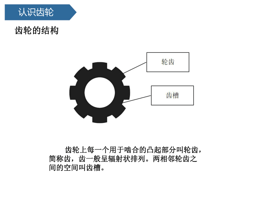 青岛版（六三制2017秋）科学 六年级上册 5.18齿轮 课件(共16张PPT)