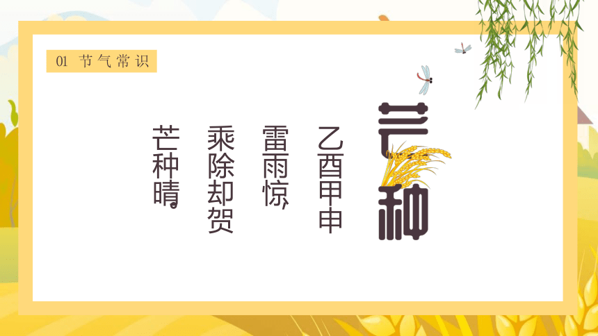第09讲：芒种-中华传统文化二十四节气介绍精美课件专辑