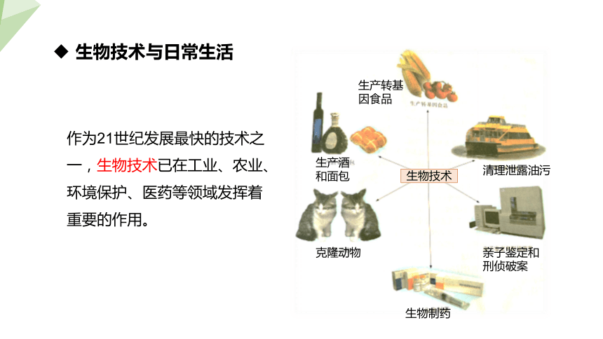 9.24.2 关注生物技术 课件 (共16张PPT)2023-2024学年初中生物苏教版八年级下册