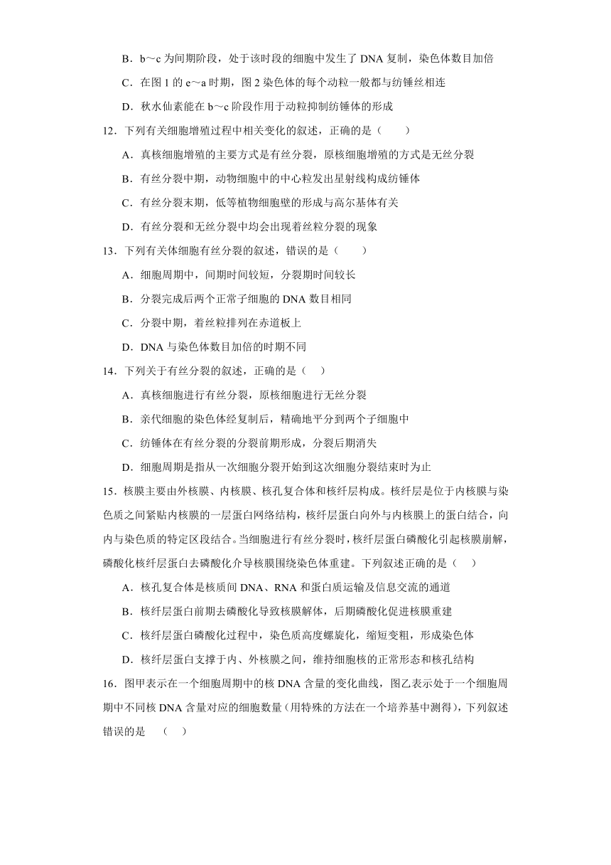 6.1细胞的增殖同步练习2023-2024学年高一上学期生物人教版必修1（含答案）