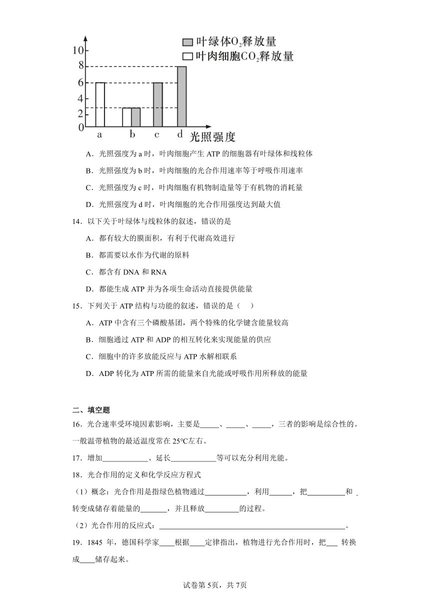 人教版高中生物必修一第5章第4节光合作用与能量转化同步练习（含答案）