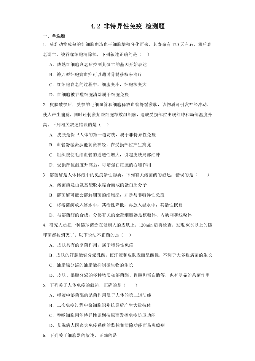 4.2 非特异性免疫 检测题（有解析）2023-2024学年高中生物学北师大（2019）选择性必修第一册