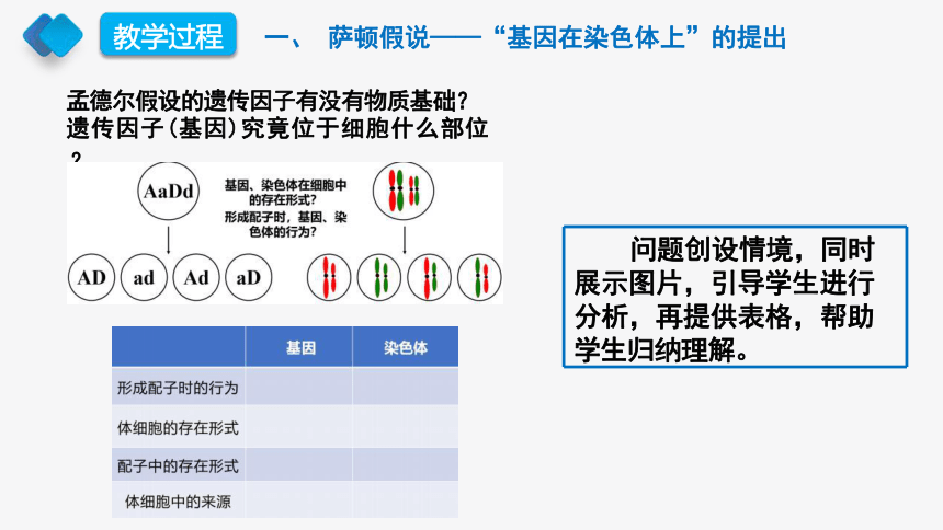 2.2基因在染色体上说课课件（共22张PPT）-2023-2024学年高一下学期生物人教版（2019）必修2