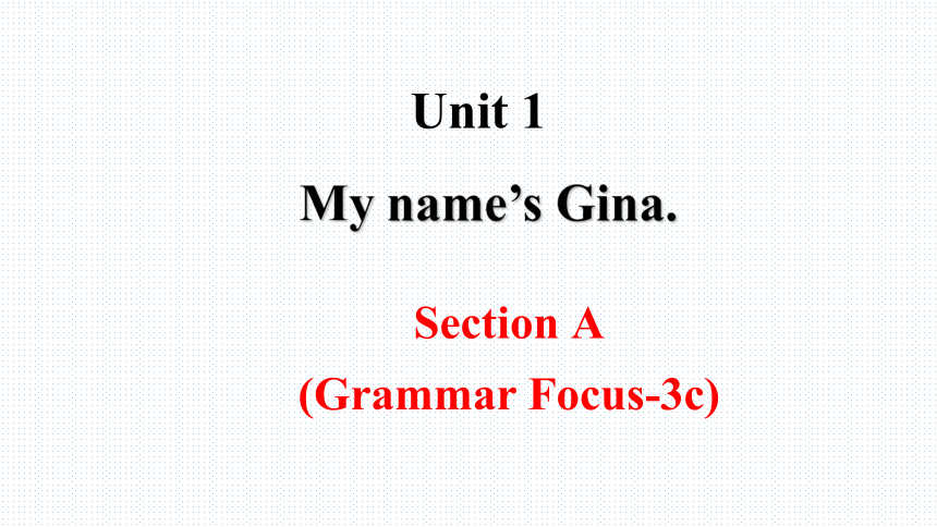 Unit1 My name is Gina SectionA Grammar Focus-3c课件 (共23张PPT)