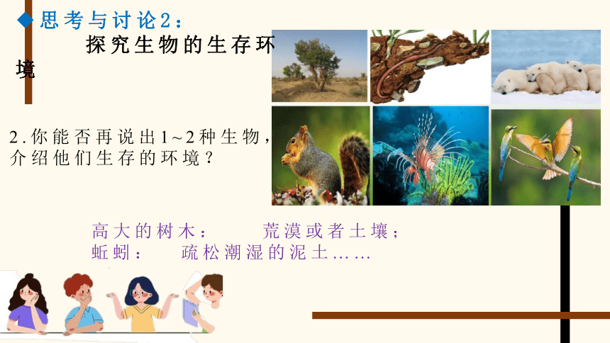 2.2.1生物生存的环境课件(共13张PPT)2023年秋苏科版生物七年级上册