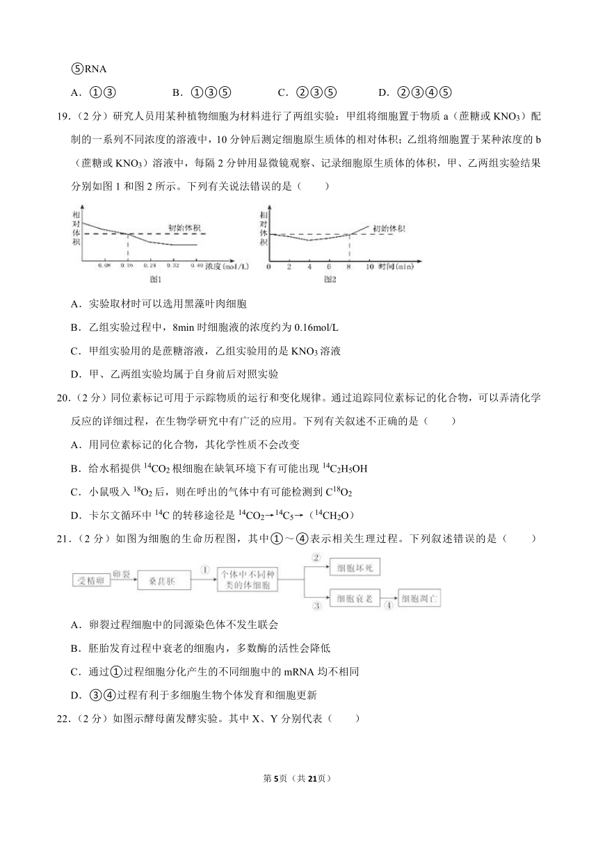 2023-2024学年贵州省安顺市高一（上）期末生物模拟试卷（含解析）