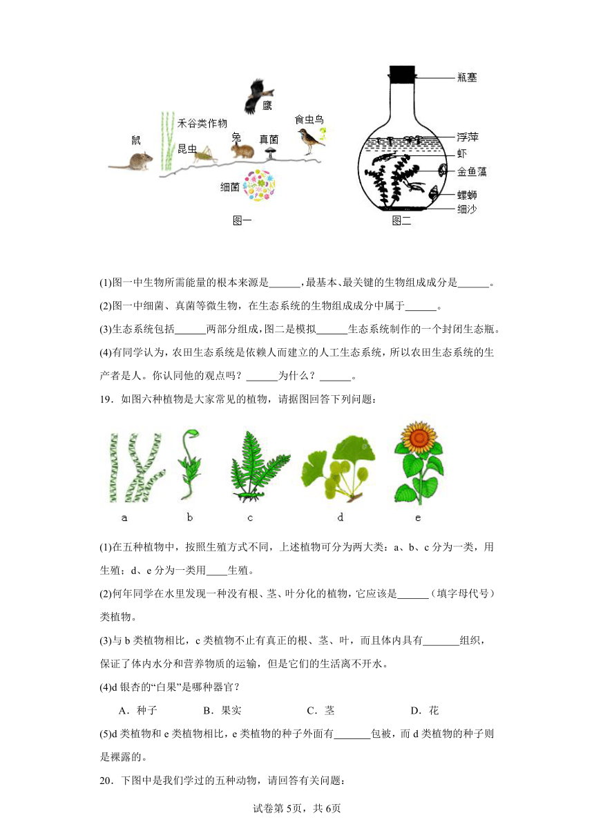 2023-2024学年初中生物苏教版八年级上册期末测试模拟卷2（答案+解析）