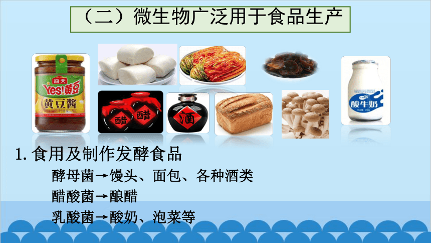 5.18.2 微生物与人类的关系课件(共16张PPT)北师大版生物八年级上册