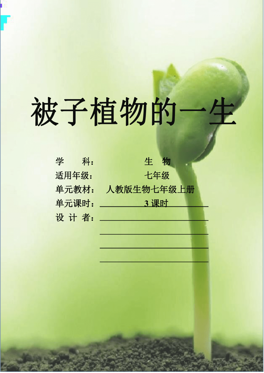 3.2被子植物的一生作业设计 （含答案）人教版生物七年级上册