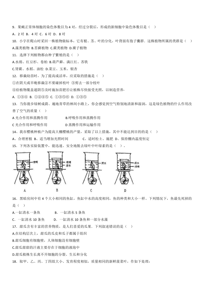 山东省德州市平原县三校联考2023-2024学年七年级上学期期中生物试题 （word版 无答案）