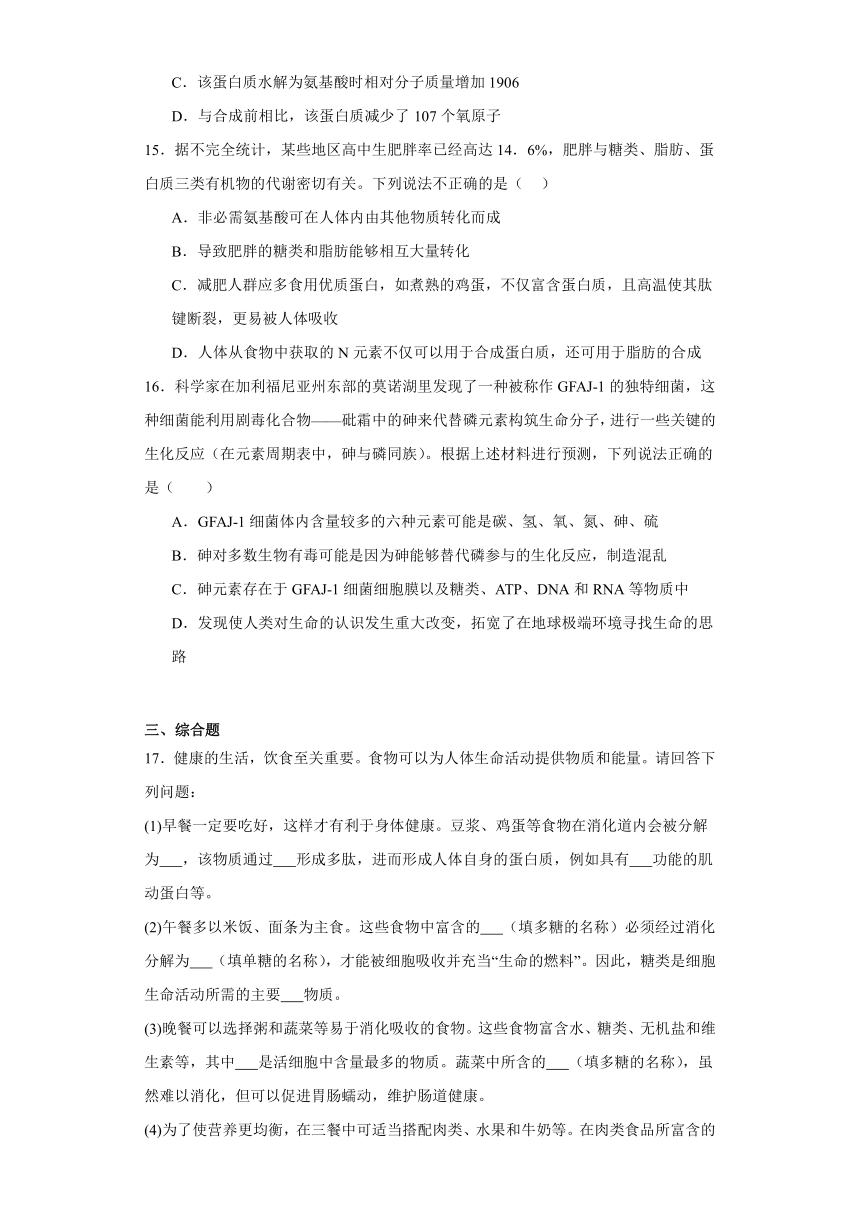 1.3细胞中的蛋白质和核酸 练习（解析版）