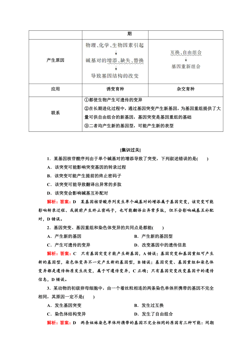 人教2019生物学必修2学业水平考试常考点习题集锦：常考点八　基因突变和基因重组（含解析）