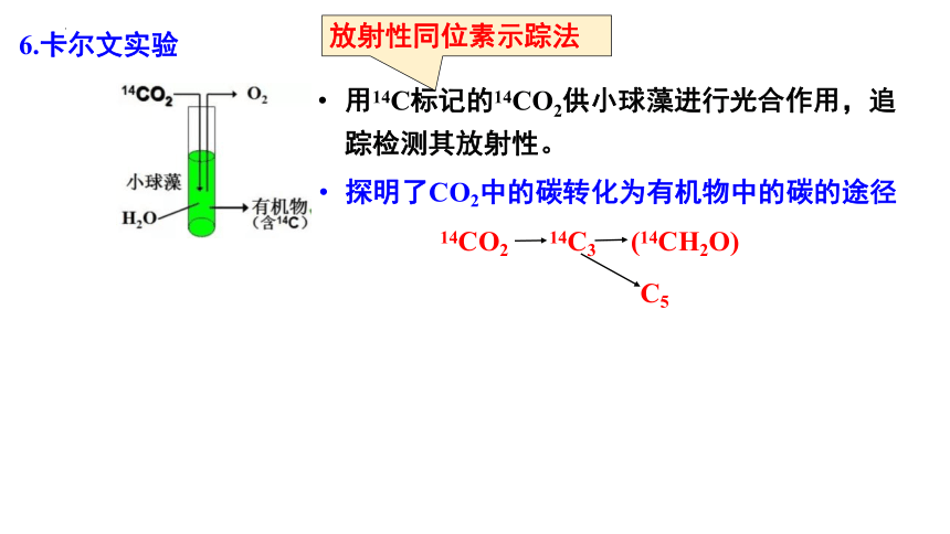 5.4 光合作用与能量转化(共36张PPT)（第二课时）高一生物课件（2019人教版必修1）