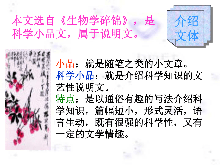 南州六月荔枝丹[下学期]