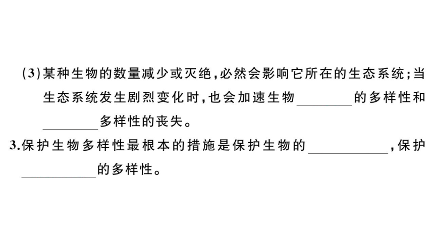 6.2认识生物的多样性习题课件(共23张PPT)