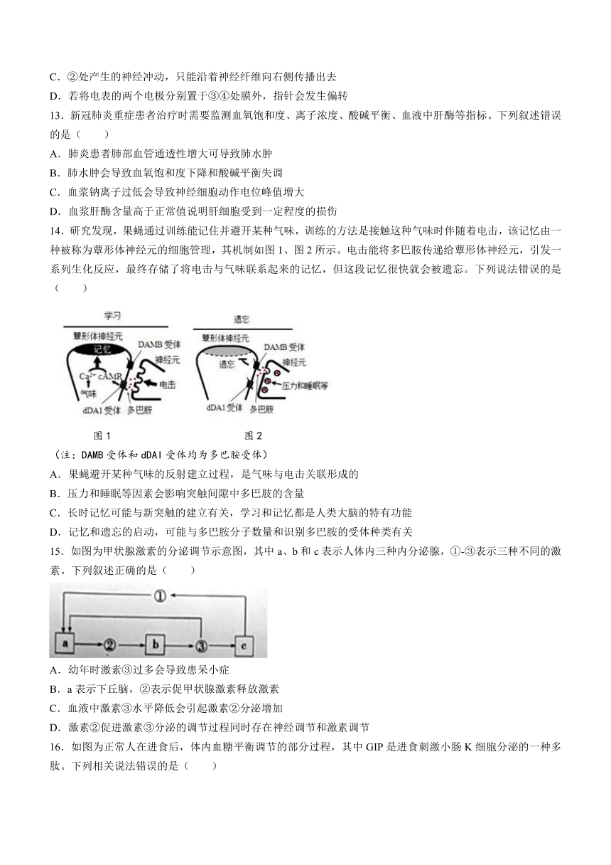 浙江省衢州市江山中学2023-2024学年高二上学期10月月考生物学试题（Word版含答案）