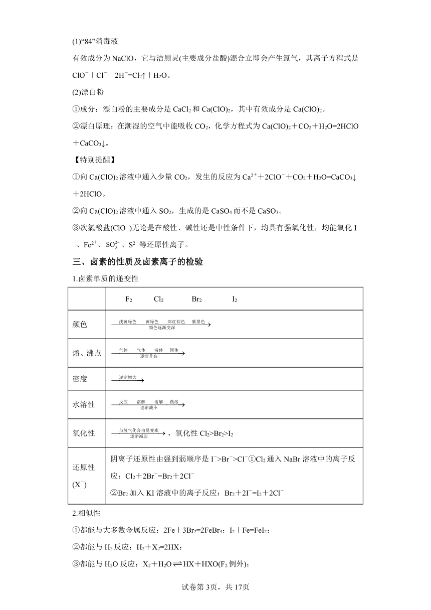 专题十一氯及其化合物 学案（含解析） 2024年高中化学学业水平测试（全国通用）