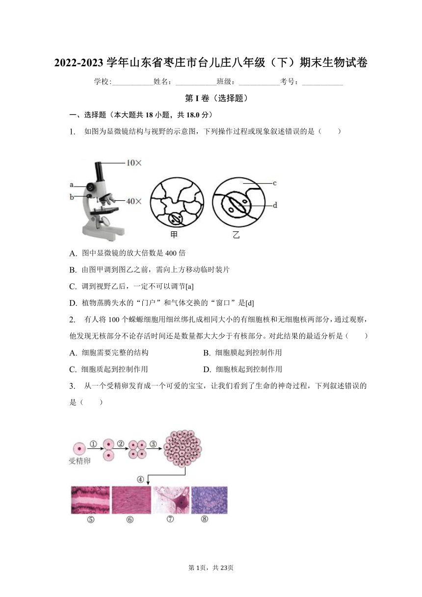 2022-2023学年山东省枣庄市台儿庄八年级（下）期末生物试卷（含解析）