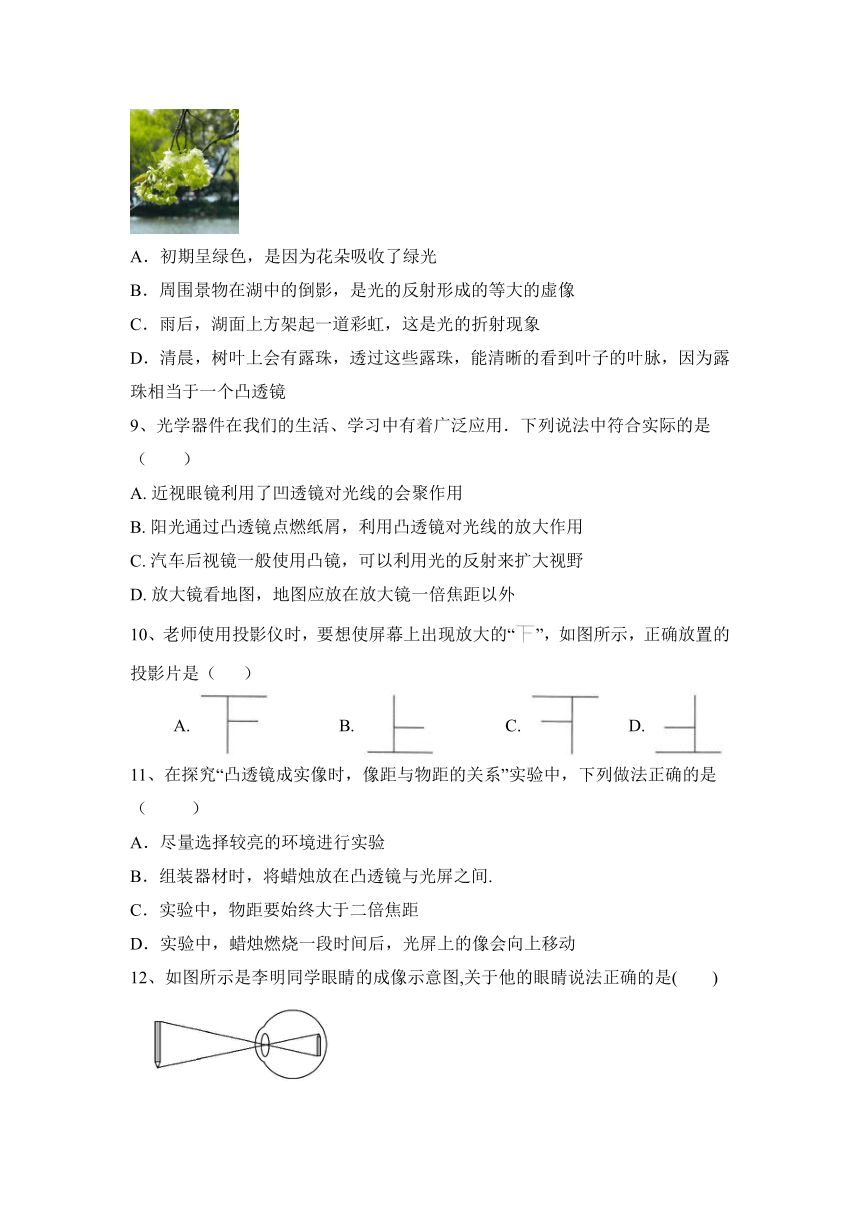 2023—2024学年八年级上册物理人教第5章 透镜及其应用  学业练习（含答案）