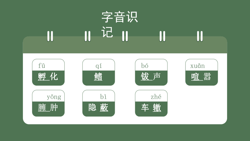 八上5.4《蝉》部编版语文课件【课件研究所】