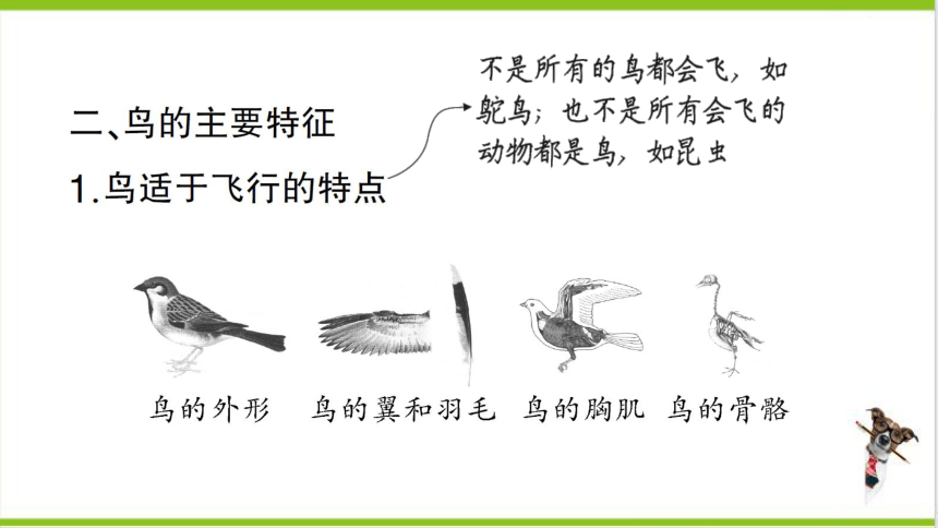 【掌控课堂-创优作业】人教版生物八(上)第五单元 第一章 动物的主要类群 第六节 鸟 (课件版)