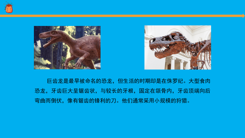 科学苏教版（2017秋）六年级上册8 消失的恐龙 课件（共28张PPT）