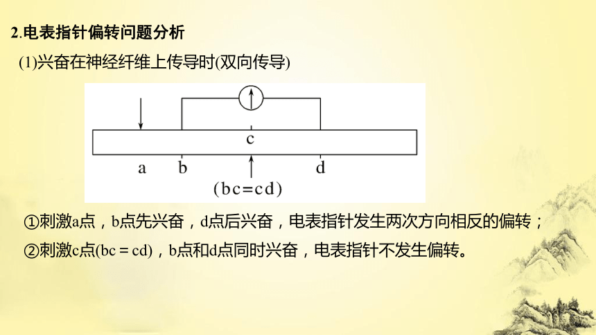 高考生物总复习微专题7 兴奋传导与传递的相关实验探究(课件共19张PPT)