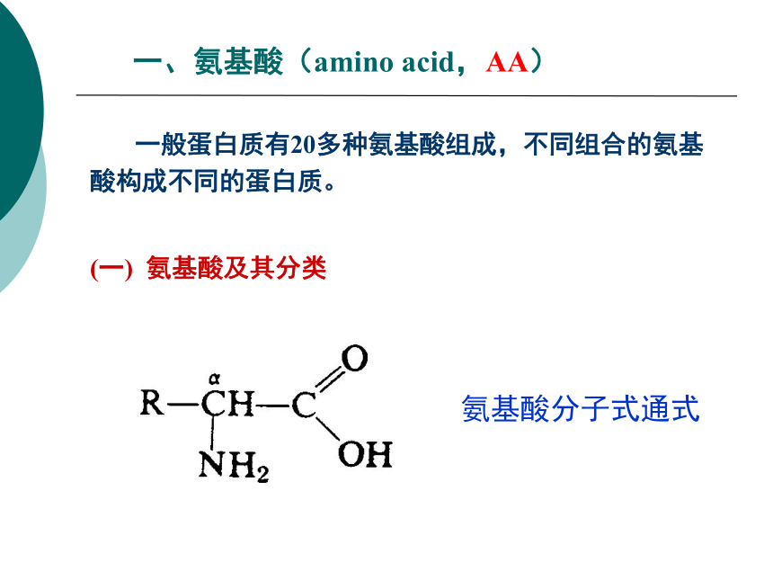 1营养学基础-4蛋白质 课件(共46张PPT)- 《营养与食品卫生学》同步教学（人卫版·第7版）