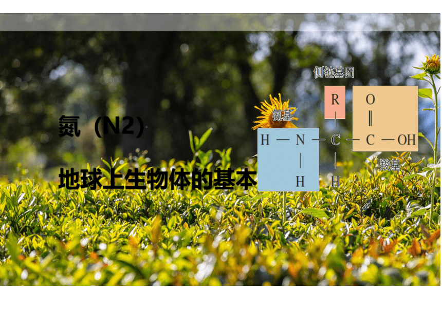 2.1大气的组成和垂直分层 课件-人教版（2019）必修第一册(共29张PPT)