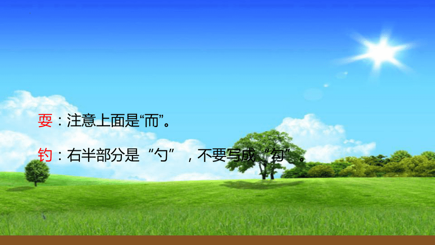 16.《金色的草地》课件(共19张PPT)