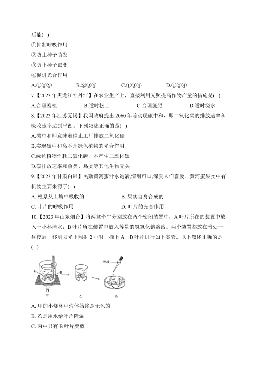 （4）绿色植物的三大作用——2023年中考生物真题专项汇编（含答案）