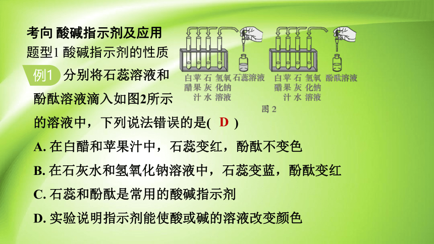 10.1 常见的酸和碱 课件(共53张PPT)人教版 九年级下册