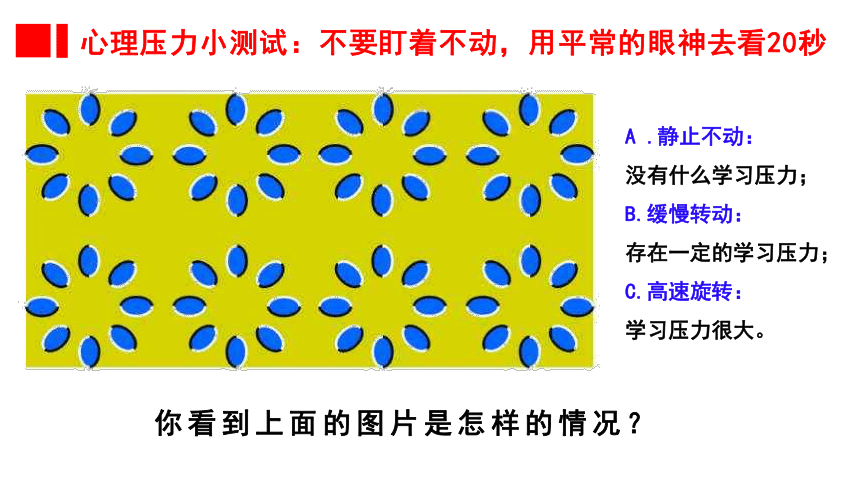 （核心素养目标）6.1 学无止境 课件(共20张PPT)-2023-2024学年统编版道德与法治九年级下册