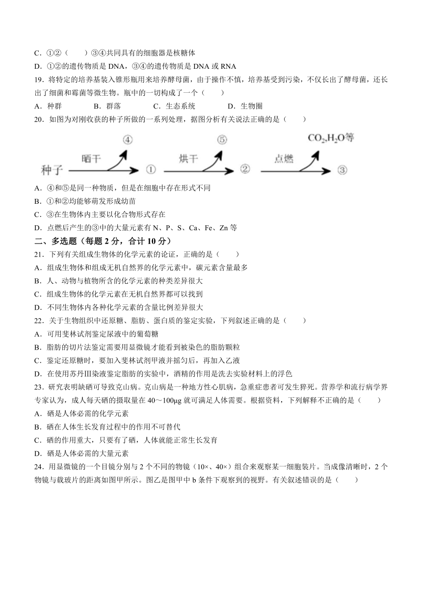 安徽省安庆市重点中学2023-2024学年高一上学期12月阶段性考试生物学试题（含答案）