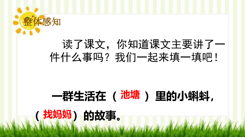 1 小蝌蚪找妈妈 课件(共25张PPT)