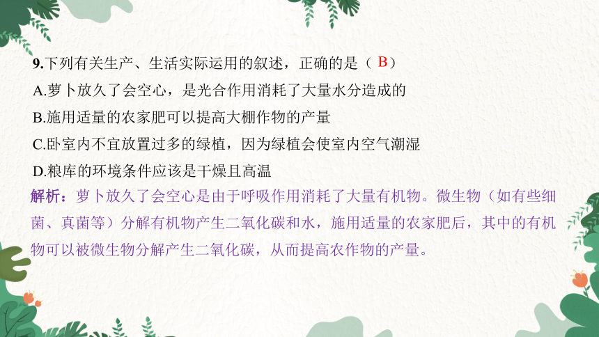 期末过关检测卷习题课件(共41张PPT)人教版生物七年级上册