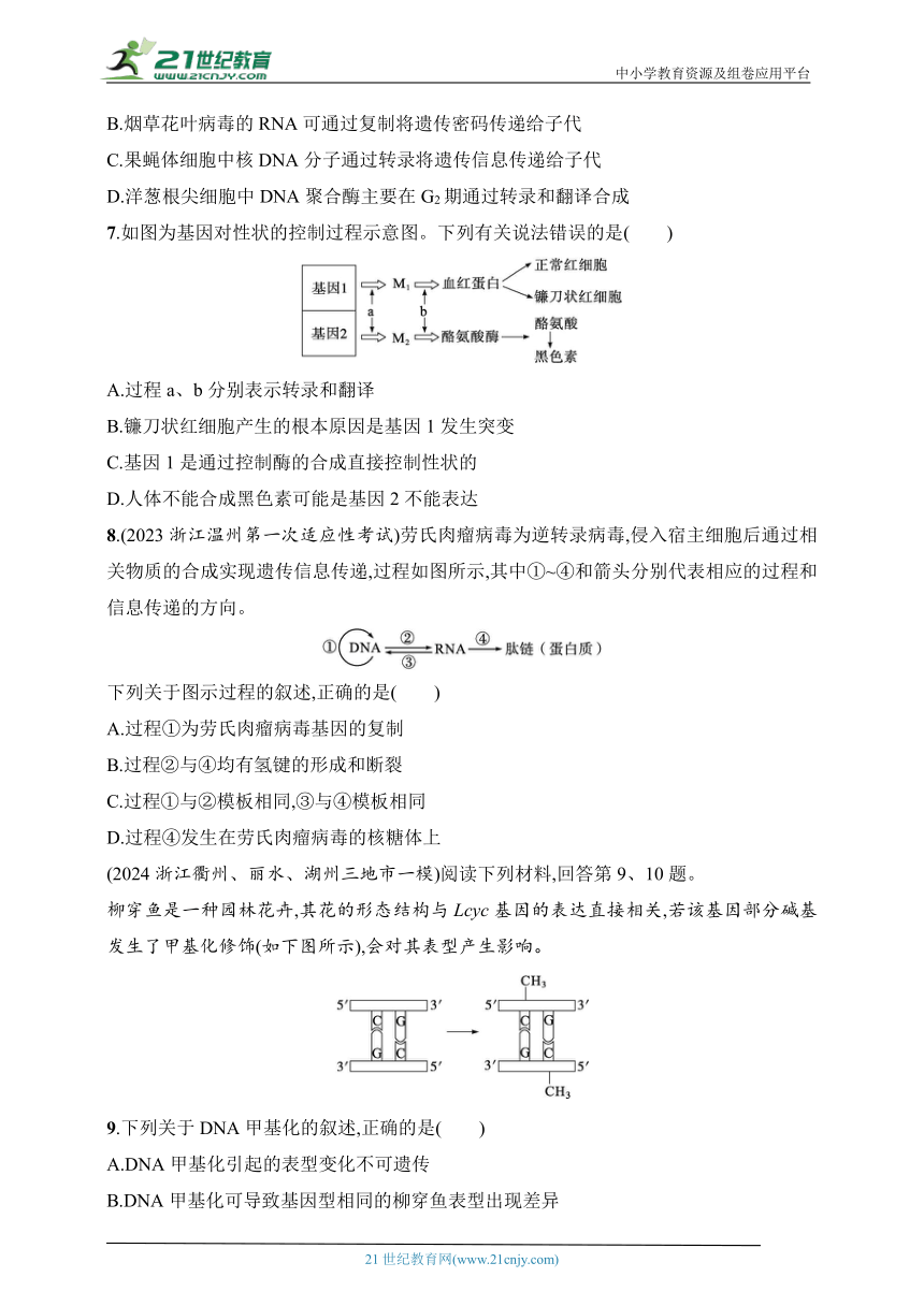 2025浙科版新教材生物学高考第一轮基础练--作业31　基因控制性状与表观遗传（含解析）