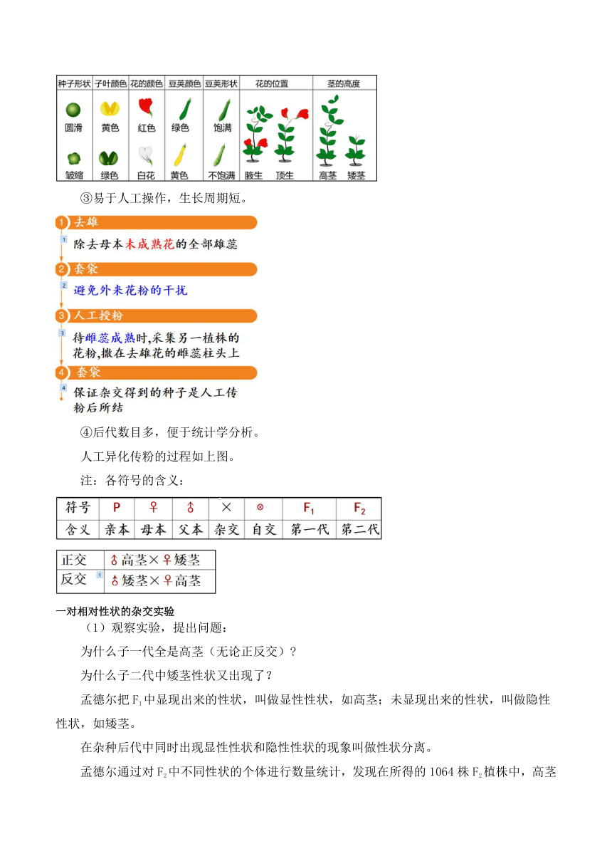 第一节 孟德尔的豌豆杂交实验（一）教案