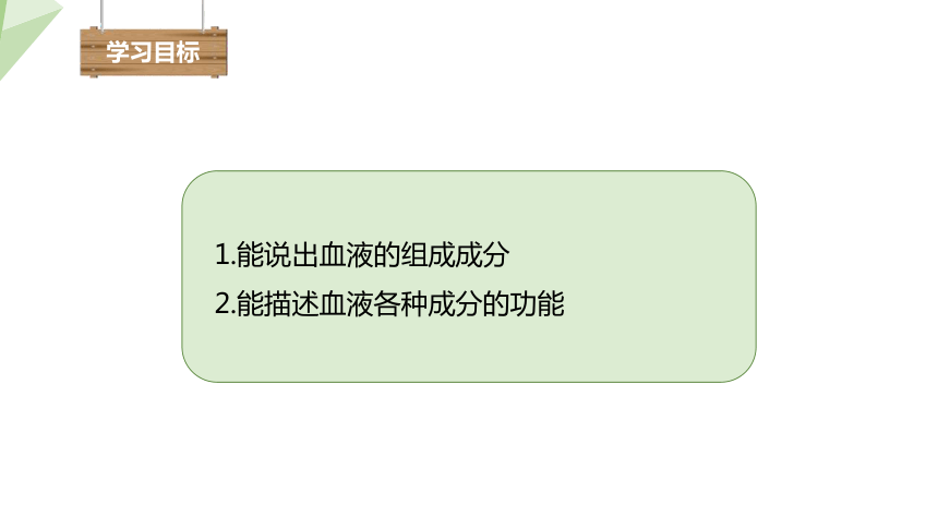 4.4.1 流动的组织——血液 课件(共19张PPT)2023-2024学年初中生物人教版七年级下册