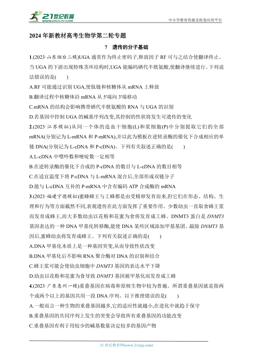 【备考2024】高中生物二轮专题练习  7.遗传的分子基础（含解析）