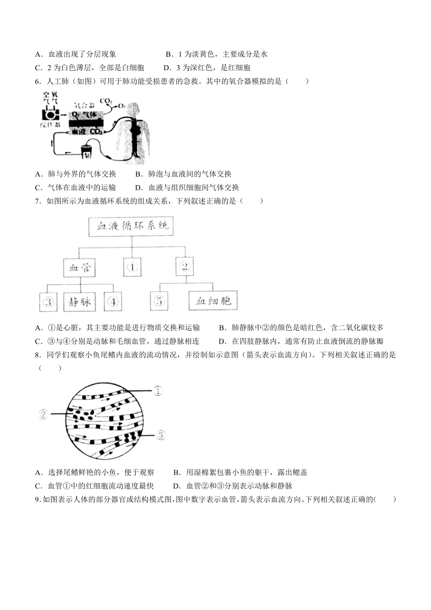 山西省大同市2022-2023学年七年级下学期期末生物试题(无答案)