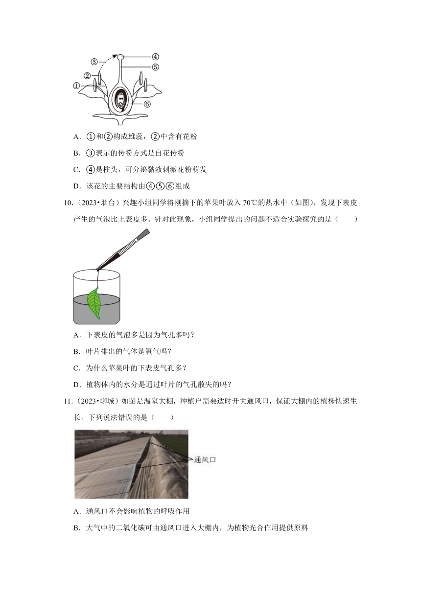 专题3绿色植物——2022-2023年山东省中考生物试题分类（含解析）