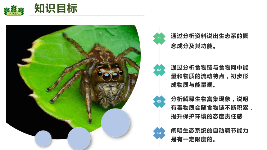 1.2.2 生物与环境组成生态系统-【悦学堂】2023-2024学年七年级生物上册同步精选课件（人教版）(共23张PPT)