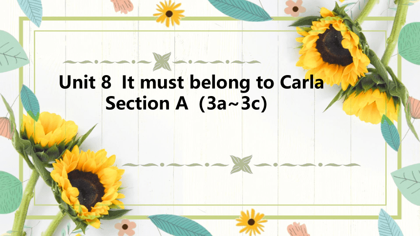 人教新目标Go For It! 九年级全册 Unit 8 It must belong to Carla.Section A（3a-3c）课件 (共26张PPT)