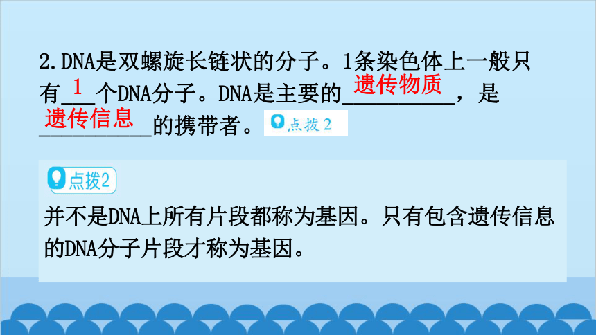 6.20.2性状遗传的物质基础课件(共27张PPT)北师大版生物八年级上册