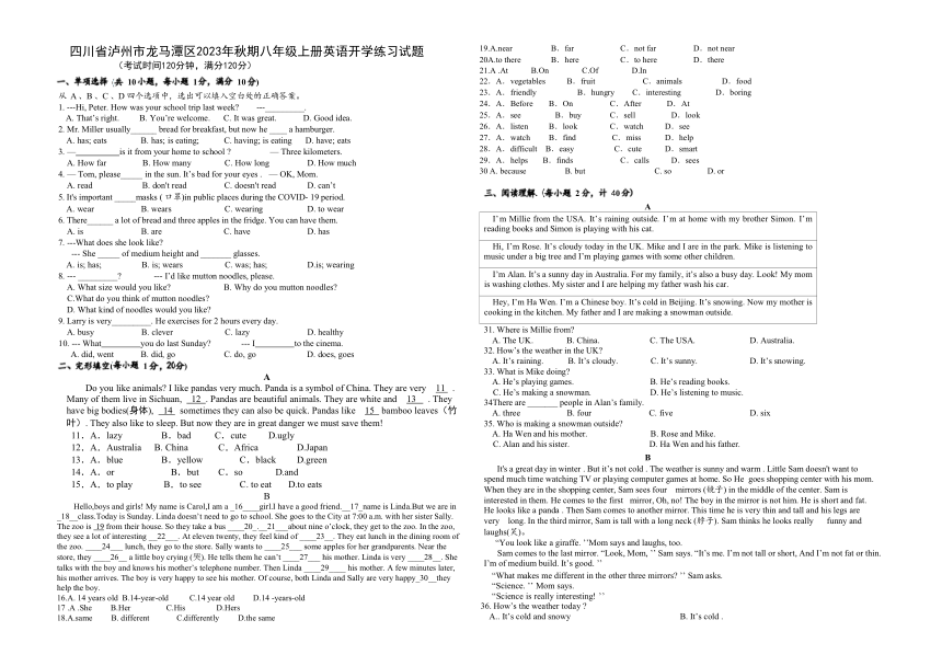 四川省泸州市龙马潭区两校联考2023-2024学年八年级上学期开学英语试题（含答案）