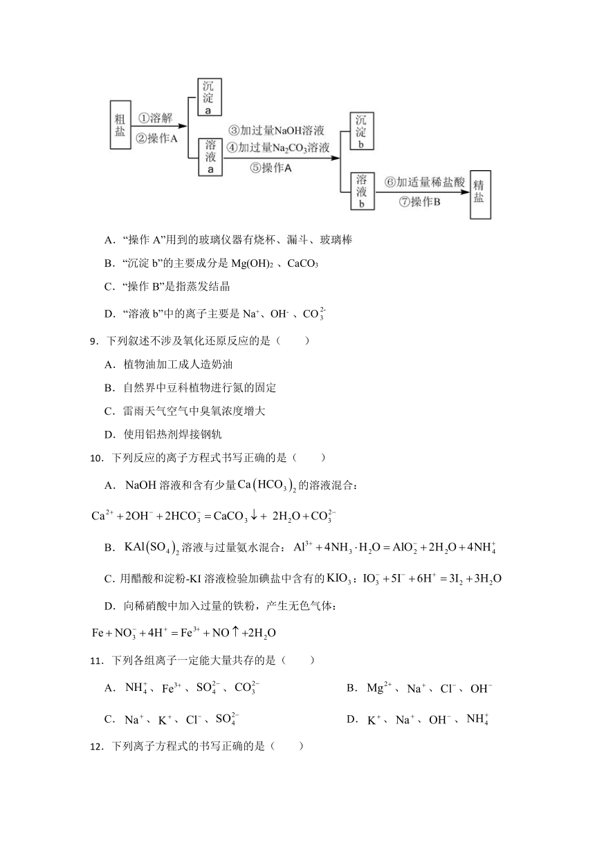 第二章 元素与物质世界 章节练习  （含解析）2023-2024学年高一上学期化学鲁科版（2019）必修第一册