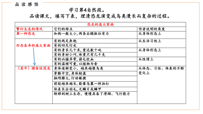 6《飞向蓝天的恐龙》第二课时 课件(共21张PPT)